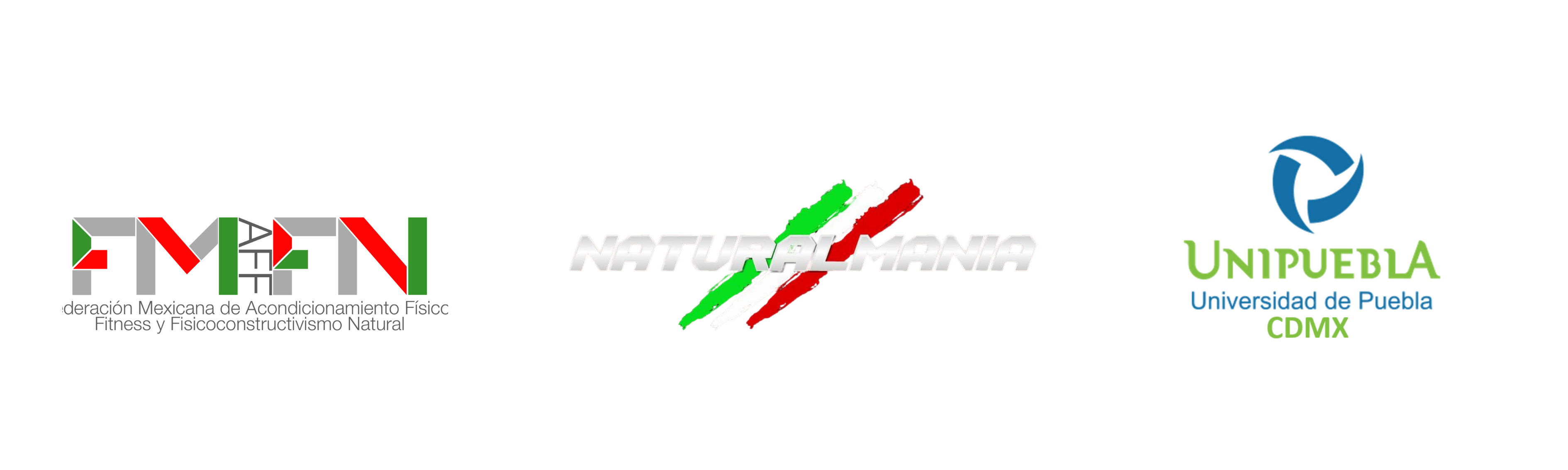 Respaldos y Avales
